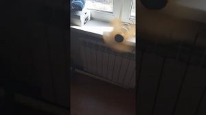 самодельный вентилятор из двигателя стиральной машины волга 11А
