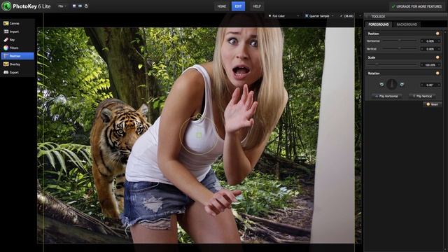 Introducing PhotoKey 6 Lite смотреть онлайн
