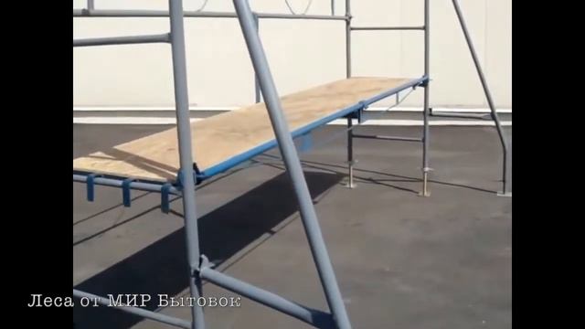 Клин хомут леса