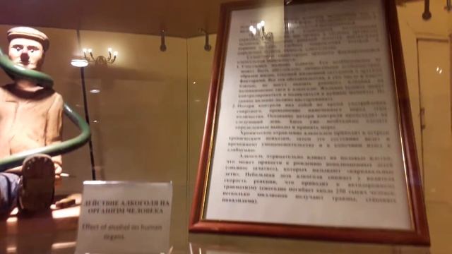 Гнилые органы алкоголиков! Стоит ли употреблять алкоголь? смотреть онлайн