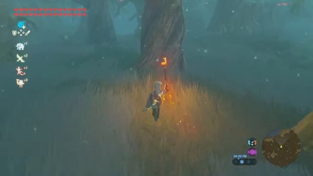 Zelda: Breath of the Wild - Lost Woods Walkthrough смотреть онлайн
