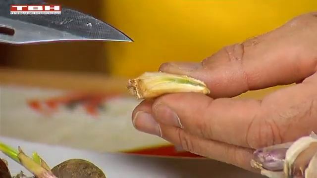 Вперед, товарищи! На дачу! Выпуск 05.04.22 г. смотреть онлайн