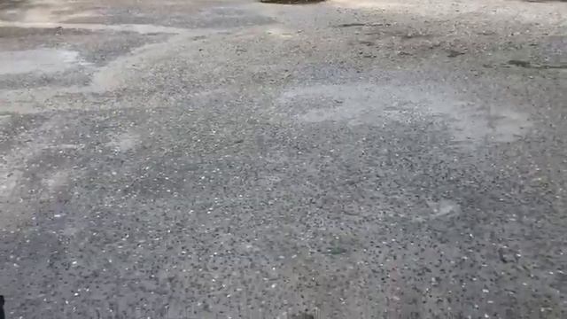 Стелс Гепард смотреть онлайн