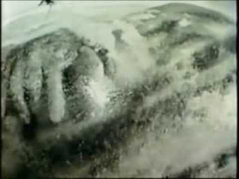 Bigfoot Damaged By AirForce Capt In 1960