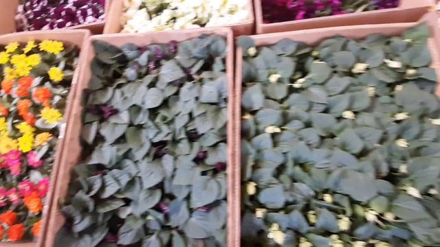 24 апреля 2021 г.