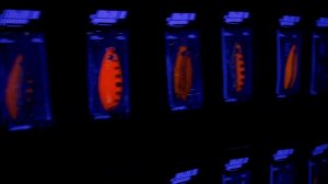 Обзор большого стенда ? ОХОТА и РЫБОЛОВСТВО на РУСИ 2021 ? Компания HIGASHI