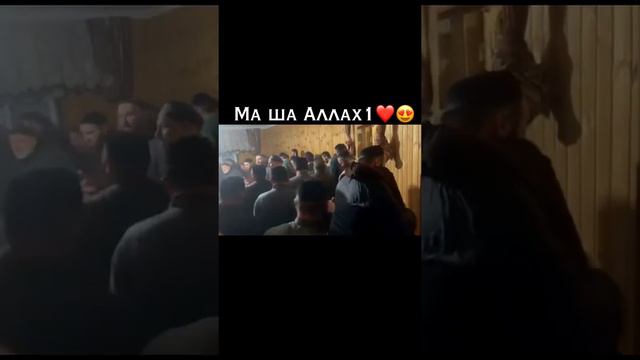 Зикр Гараев-Оздоев. Ингушетия 2022 смотреть онлайн