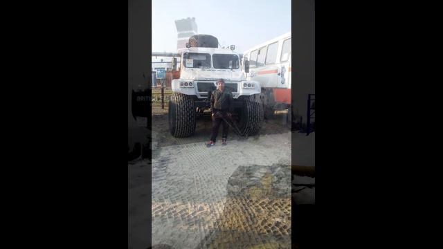 Для жизни много не надо... смотреть онлайн