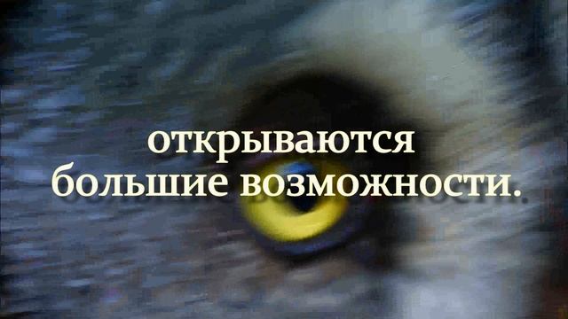 Мудрые мысли об оптимизме|Не бойся трудностей смотреть онлайн