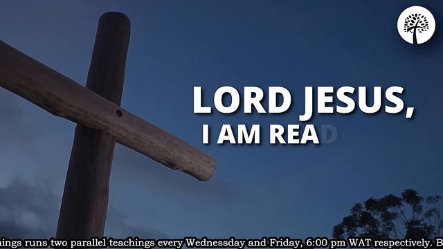 NT TRAINING DAY 5 NEW TESTAMENT READING | 29-02-2024 смотреть онлайн
