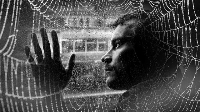 ВСЕМУ СВОЙ СРОК