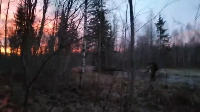 замечательная река в волосовском районе,рассвет смотреть онлайн