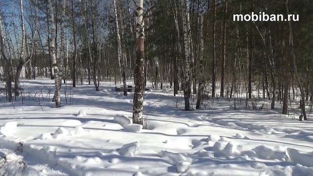 Печь Парадигма. Первый тест, -16 С смотреть онлайн