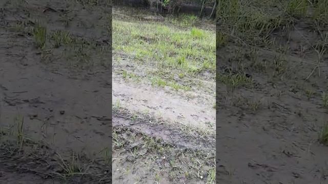 Трицикл на базе мотоцикл Урал 2 смотреть онлайн