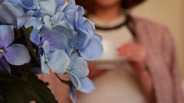 образы Отчаянных домохозяек | Desperate Housewives Looks смотреть онлайн