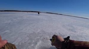 Ловля леща на черта и ведьму паровозом. Где его искать весной.