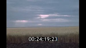 ЛИНИЯ СТАЛИНА\КОЛХОЗЫ СССР ЖИЗНЬ И ТРУД