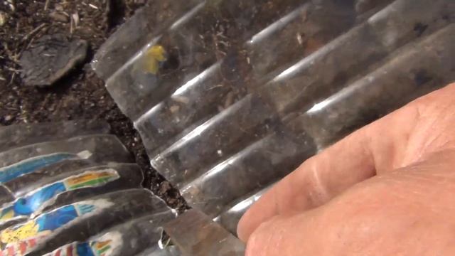 Накрываем помидор пластиковой бутылкой 4 июля 2017 смотреть онлайн