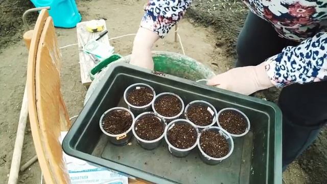 #17переезднаюг#жизньнакубани СДАЛИ МЕТАЛЛОЛОМ/УБИРАЕМ ТЕРРИТОРИЮ смотреть онлайн