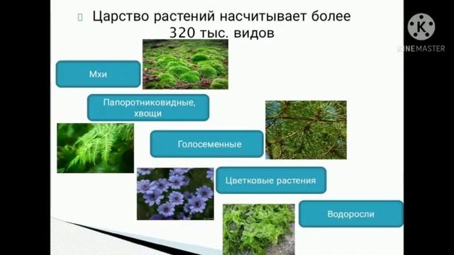 Систематика растений. смотреть онлайн