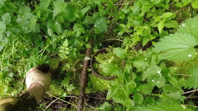 Металлокоп на бывшей мельнице с МД 4030 смотреть онлайн