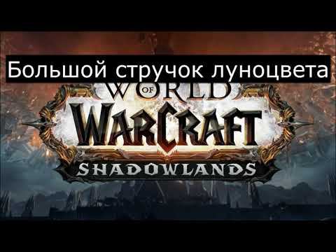 Большой стручок луноцвета. Как открыть? Макрос! смотреть онлайн