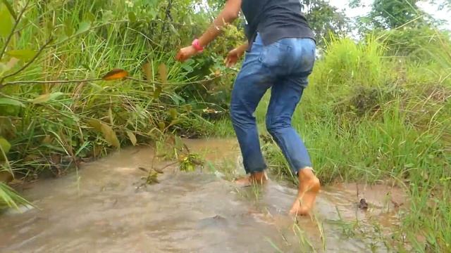 Jungle Fake Life Amazing Slie Water Fishing Catch Fish Alot after raining смотреть онлайн