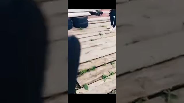 Летучая мышь укусила за палец ? #shorts смотреть онлайн