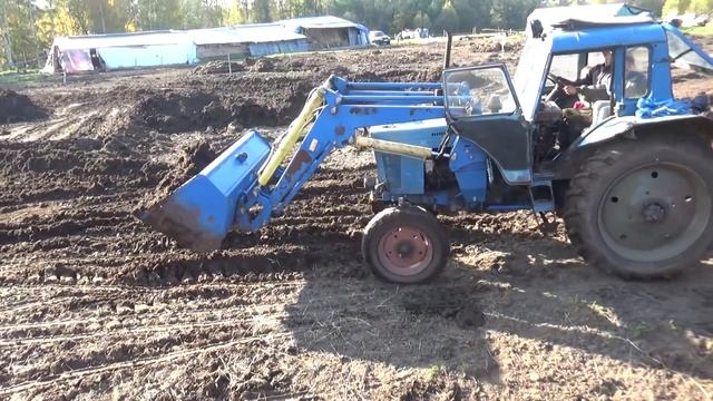 Старичок ДТ-75 в деле. МТЗ-80 на подхвате.