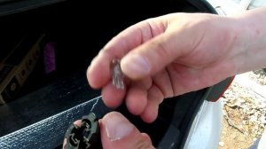 Тойота Королла. Замена лампы подсветки заднего номера