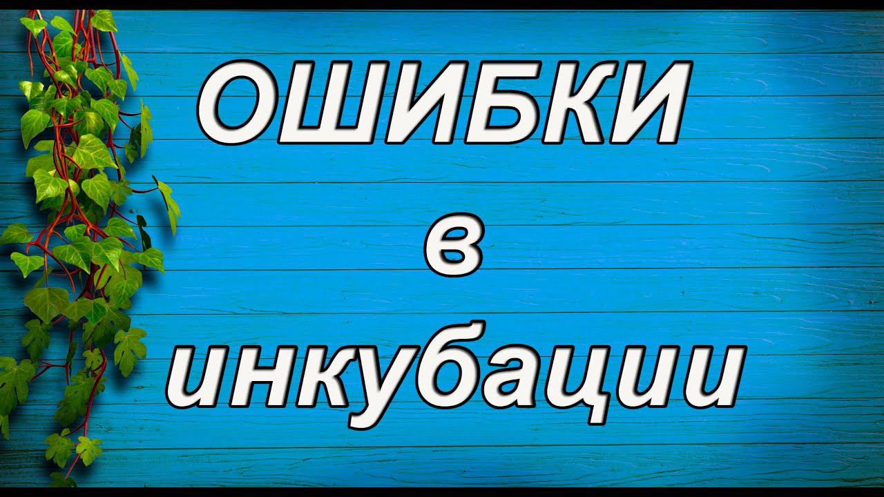 ОСНОВНЫЕ ОШИБКИ при инкубации яиц. 100% ВЫВОД! смотреть онлайн