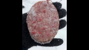 отрава для собак