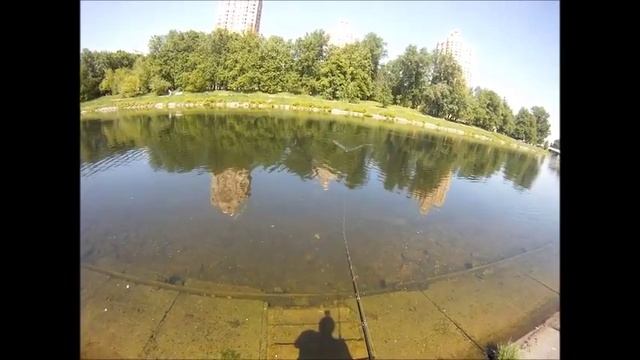 Редкие экзотические приманки на щуку смотреть онлайн