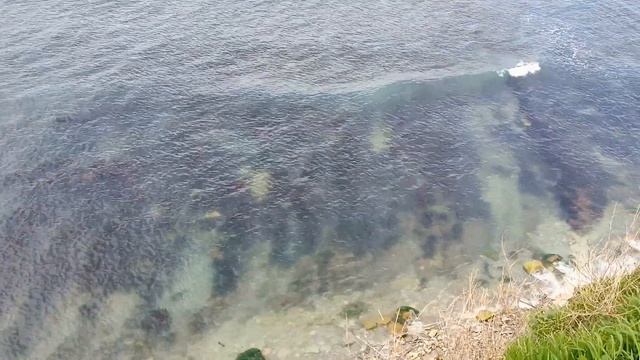 ГЕЛЕНДЖИК в апреле!!! смотреть онлайн