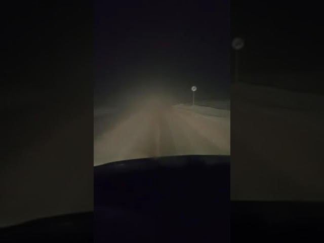 Дорога Спутник Туман Изморозь 21.11.2022г смотреть онлайн
