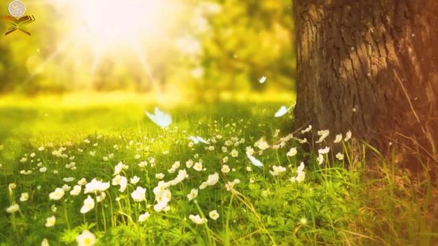 Surah Al_Waqiah ! Heart 💖 Touching Voice 🌹 Beautiful Quran Recitation 🌹(ռօ ƈօքʏʀɨɢɦȶ) смотреть онлайн