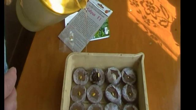 видео курс "Всегда с огурцами" смотреть онлайн