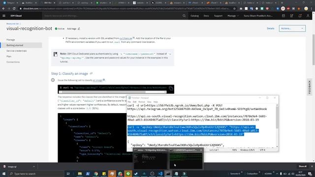 Membangun Bot Telegram dengan Kombinasi PHP, MySQL, IBM Watson - Cat and Dog Recognition смотреть онлайн
