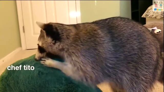 Мягкая игрушка Авокадо. Хит продаж 2019 года. http://ideapodarkoff.ru смотреть онлайн