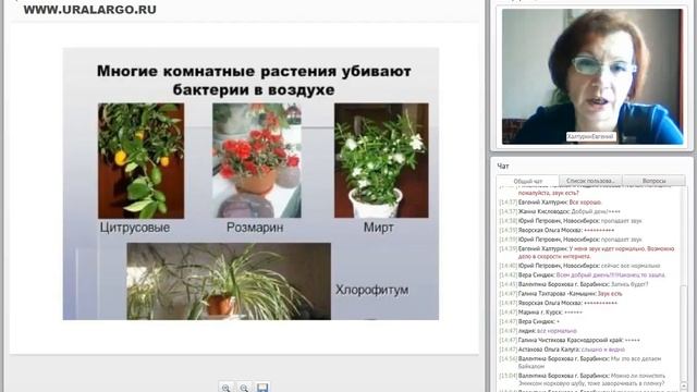 Оздоровление микрофлоры и химчистка на дому (ЭМ-технология) смотреть онлайн