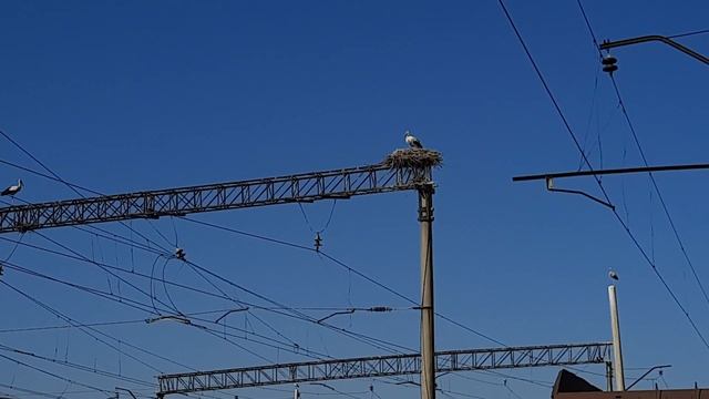 Железнодорожная станция Масис и Аисты - Train station Masis and Storks смотреть онлайн