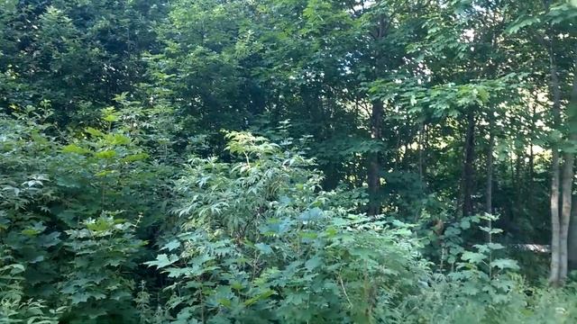 Самая высокая точка Смоленской области смотреть онлайн