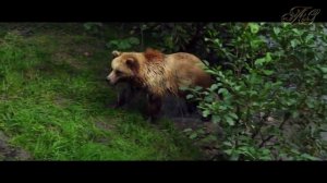 Отшельник Василий! Затерянный в глухой тайге!