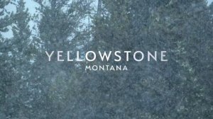 Год на планете Земля 1 серия «Зима» (документальный сериал, 2022)