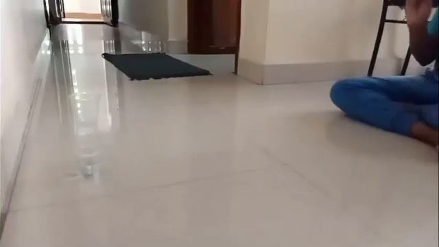 ping pong trick shots | awesome tricks смотреть онлайн