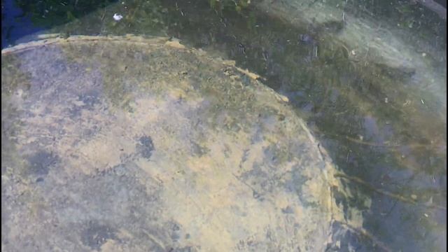 КАК СДЕЛАТЬ БАССЕЙН СВОИМИ РУКАМИ НА ДАЧЕ ПРОШЕЛ ГОД смотреть онлайн