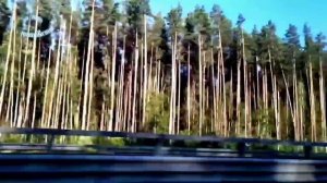 Прости прощай