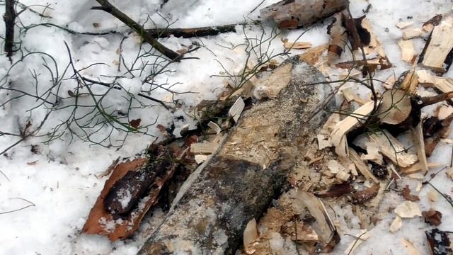 Поход в лес с минимальным снаряжением.Костер финская свеча.Diy bushcraft .Шашлык в лесу смотреть онлайн