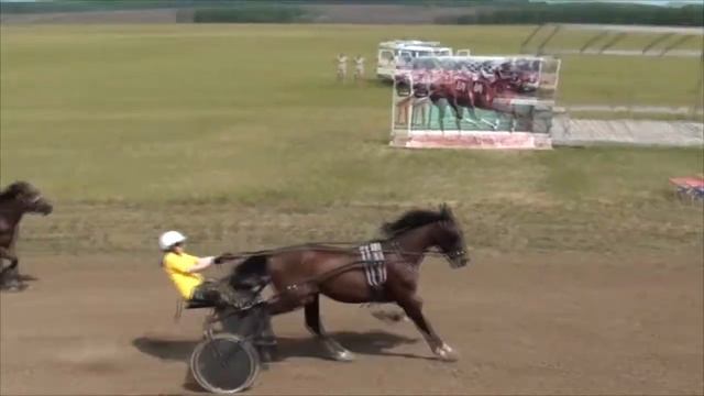 Конные скачки. 2х и 3х летних рысаков. смотреть онлайн