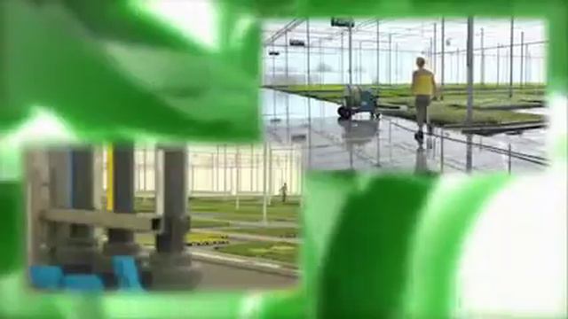 Работа в Нидерландах (Голландии). Уход за растениями в теплицах смотреть онлайн